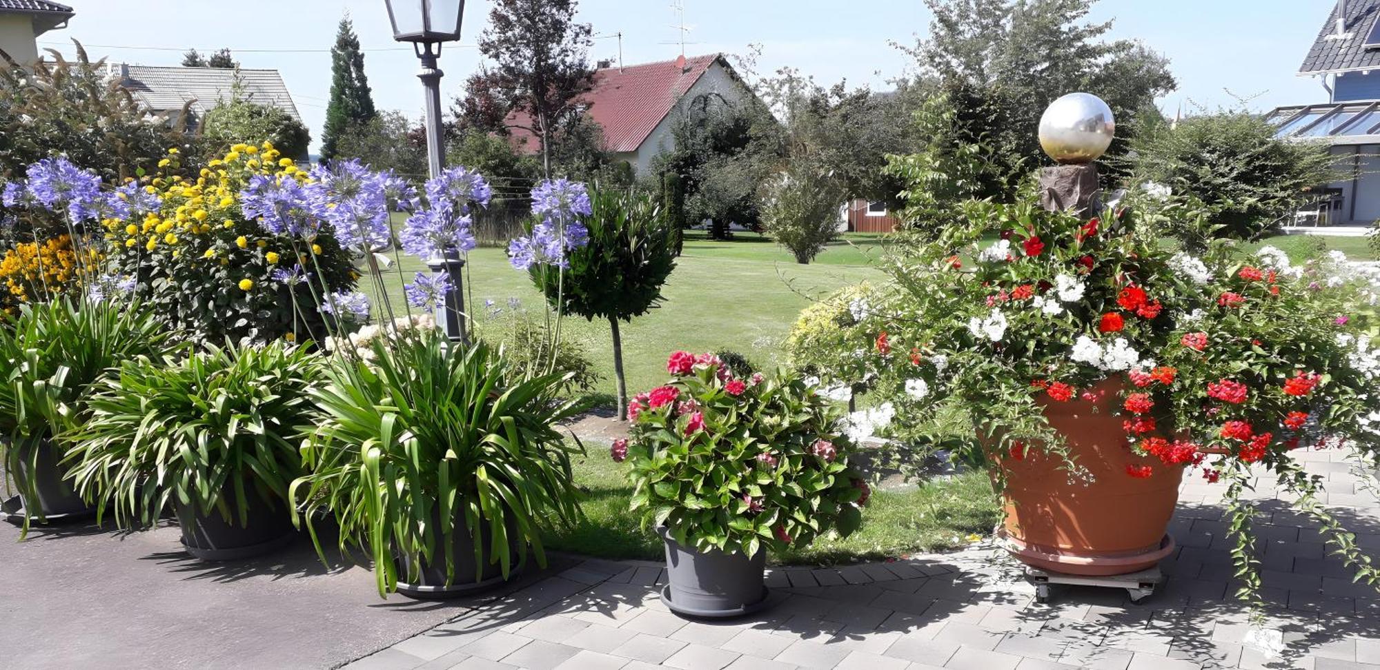 Feriendomizil Berta Benzingen Winterlingen Exterior foto